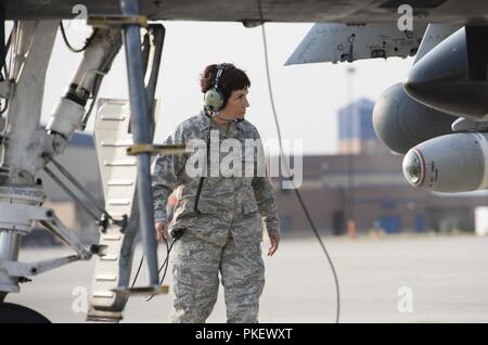 Chief Master Sgt. Tammy S. Ladley, 124 Fighter Wing command Chief, hilft mit einem vorflugcheck in Boise, Idaho, Aug 2, 2018. Als Teil ihrer Pensionierung, Ladley mit dem Start einer A-10 Thunderbolt II an die 124 FW zugeordnet unterstützt. Stockfoto