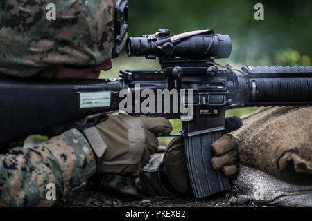 Lance Cpl. Cole Cunningham, ein Mörser Mann mit Kilo Unternehmen, 3.Bataillon, 23 Marine Regiment, Wettbewerber im 4. Marine Division jährliche Rifle Squad Wettbewerb, führt eine Unbekannte Entfernung von Feuer am Joint Base Elmendorf-Richardson, Anchorage, Alaska, 2. August 2018. Super Squad Wettbewerbe wurden entwickelt, um eine 14-Mann Infanterie Squad in ein weites Feld und Live-fire Evolution zu bewerten. Stockfoto