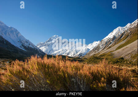 Aoraki Mount Cook von der Hooker Tal Wanderweg. Markanter Unterschied zwischen tief blauen Himmel, weiße schneebedeckte Berge und farbenfrohen Vordergrund Stockfoto