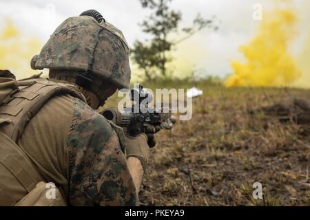 Lance Cpl. Hunter Sackewitz, eine assaultman mit Bataillon Landung Team, 1.BATAILLON, 2 Marines, 22 Marine Expeditionary Unit (MEU) bietet Sicherheit während einer Reihe als Teil der 22 MEU Einsatz für die Ausbildung am Fort A.P. Hill, Va., 29. Juli 2018. Die Ausbildung erlaubt die Marines Tanks aufzunehmen, Amphibisches Fahrzeuge, Flugzeuge, Indirektes Feuer, Mörtel und Infanterie in eine Reihe von kombinierten Waffen live-Fire reicht, um Sprachkenntnisse für ihren bevorstehenden Einsatz. Stockfoto