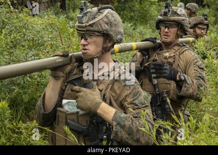 Lance Cpl. Hunter Sackewitz, eine assaultman und Lance Cpl. Lukas Brannock, ein Ingenieur mit Bataillon Landung Team, 1.BATAILLON, 2 Marines, 22 Marine Expeditionary Unit (MEU) Vorbereiten zum Einfedern ein Bangalore bei einer Verletzung, während eine Reihe Torpedo als Teil der 22 MEU Einsatz für die Ausbildung am Fort A.P. Hill, Va., 28. Juli 2019. Die Ausbildung erlaubt die Marines Tanks aufzunehmen, Amphibisches Fahrzeuge, Flugzeuge, Indirektes Feuer, Mörtel und Infanterie in eine Reihe von kombinierten Waffen live-Fire reicht, um Sprachkenntnisse für ihren bevorstehenden Einsatz. Stockfoto