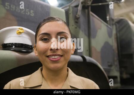 SEATTLE (Aug 3, 2018) ein US-Marine an Bord amphibious Transport dock Schiff USS Essex (LPD-25) stellt für ein Bild während Seafair Flotte Woche. Seafair Fleet Week ist eine jährliche Feier des Meeres Dienstleistungen darin Seemänner, Marinesoldaten und Küstenwache Mitglieder vom Besuch der US-Marine und Küstenwache Schiffe und Schiffe aus Kanada machen die Stadt zu einem Hafen des Anrufs. (U.S. Marine Corps Stockfoto