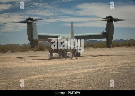 Marines mit 2 Bataillon, 11 Marines, 1st Marine Division (MARDIV), Kühlern entfernen aus einer MV-22 Osprey b während der Übung Sommer Fury, im Jahr 2057 Süd, Calif., Aug 2, 2018. Die Übung wurde durchgeführt, 1. MARDIV Operationen Kenntnisse durch die Integration zur Gründung, Übergang und schrittweise Einstellung der Steuerung von Flugzeugen und Raketen über mehrere Standorte hinweg zu erhöhen. Stockfoto