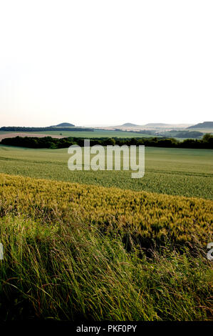 Die Täler rund um Empury im Parc Naturel Régional du Morvan, in der Nièvre (Frankreich, 24/06/2010) Stockfoto