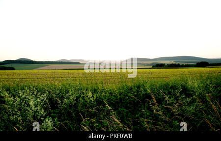 Die Täler rund um Empury im Parc Naturel Régional du Morvan, in der Nièvre (Frankreich, 24/06/2010) Stockfoto