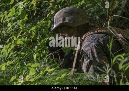 Ein Marine mit Charlie Company, 1.Bataillon, 23 Marine Regiment, in der 4. Marine Division jährliche Rifle Squad Wettbewerb konkurrieren, Signale an seinem Feuer Teammitglied während einer Übung patrouillieren am Joint Base Elmendorf-Richardson, Anchorage, Alaska, 3. August 2018. Super Squad Wettbewerbe wurden entwickelt, um eine 14-Mann Infanterie Squad in ein weites Feld und Live-fire Evolution zu bewerten. Stockfoto