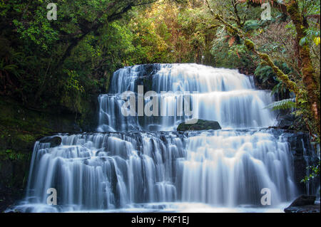 Purakaunui Falls, die Catlins, Region Otago, Neuseeland. Majestätisch, multi-tiered fällt Hintergrund umgeben von Regenwald Stockfoto