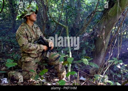 Ein Soldat der US-Armee scannt die Dschungel, und ziehen Sie gleichzeitig die Sicherheit während Jungle Warfare School an Achiase Militärbasis, Akim Achiase, Ghana, 4. August 2018. Die Jungle Warfare School ist eine Reihe von situativen Übungen entwickelt, die Teilnehmer in die Train-Aufstand und die innere Sicherheit. Stockfoto