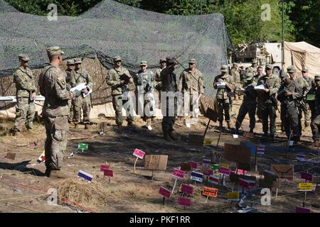 Die Staats- und Regierungschefs vom 4. Bataillon, 23 Infanterie, 2 Stryker Brigade Combat Team, 2 Infanterie Division ihre Unit Plan kurze während ein Bataillon-kombinierte Waffen Probe (AUTO) für den Notfall Bereitstellungsbereitschaft Übung Mut Bereit 18-02, 12.08.5 bei Joint Base Lewis - McChord. Diese EDRE bietet die Möglichkeit für alle betroffenen Maschinen wichtige Fähigkeiten zur Ausübung sowohl bei der Planung und Durchführung der Mission am Joint Base Lewis - McChord. Stockfoto