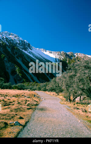 Aoraki Mount Cook von der Hooker Tal Wanderweg. Markanter Unterschied zwischen tief blauen Himmel, weiße schneebedeckte Berge und farbenfrohen Vordergrund Stockfoto