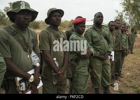 Us-Armee Soldaten des 404Th zivilen Angelegenheiten Bataillon Verhalten gegen den illegalen Handel Ausbildung zu tansanischen Wildlife Behörde Studenten an einem game reserve in Tansania, 24. Juli 2018. Das Monat-lange Kurs, durch die zivilen Angelegenheiten 404th Battalion, ist so konzipiert, dass TAWA ist anti-wilderei Fähigkeiten zu verbessern. Stockfoto