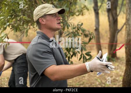 Us-Armee Soldaten des 404Th zivilen Angelegenheiten Bataillon Verhalten gegen den illegalen Handel Ausbildung zu tansanischen Wildlife Behörde Studenten an einem game reserve in Tansania, 24. Juli 2018. Das Monat-lange Kurs, durch die zivilen Angelegenheiten 404th Battalion, ist so konzipiert, dass TAWA ist anti-wilderei Fähigkeiten zu verbessern. Stockfoto