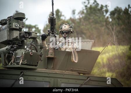 Us-Armee Soldat 1 Bataillon zugeordnet, 27 Infanterie Regiment "Wolfhounds', 2 Infantry Brigade Combat Team, 25 Infanterie Division, scannt den Horizont in Bewegung auf eine Support-für-brand Position in einer M1151 High Mobility Multipurpose Radfahrzeug während einer kombinierten Waffen live-fire Übung in Schofield Kasernen, Hawaii, 3. August 2018. Die Übung ist Teil einer umfassenden Schulung fortschreiten, um Bekämpfung der Bereitschaft in der Vorbereitung für ein Joint Readiness Training Center rotation später in diesem Jahr zu erhalten. Stockfoto