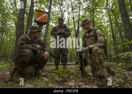 Britische Lance Cpl. PJ Moleod (links), ein Arzt mit 3. Prinzessin von Wales Royal Regiment, US Marine Corps Sgt. Jakob Müller (Mitte) und Sgt. Charlie Bliss (rechts) Squad Leader mit Kilo Unternehmen, 3.Bataillon, 25 Marine Regiment, die Teilnahme an einem Land navigation Kurs an der Übung Northern Strike in Camp Äsche, Mich., Nov. 6, 2018. Übung Northern Strike ist ein National Guard Bureau - geförderte Ausbildung übung, vereint Service Mitglieder aus mehreren Niederlassungen, die Staaten und die Koalition Länder zusammen Boden- und Kampfhandlungen durchzuführen. Stockfoto