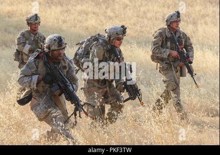 Soldaten mit 1St Bataillon, 200 Infanterie Regiment, 41st Infantry Brigade Combat Team, Oklahoma Army National Guard und 741St Brigade Ingenieur Bataillon, 41st Infantry Brigade Combat Team, Oklahoma Army National Guard eine Firma Verletzung und den Bereich Verteidigung Übung folgenden Air Assault Training am Fort Hunter Liggett, Calif., 28. Juli 2018 durchzuführen. Die Schulung ist Teil eines größeren Übung als exportierbar Combat Training (XCTC), eine Brigade level Feld Training konzipiert Platoon Kenntnisse über die Feuerwehr in Abstimmung mit der ersten Armee zu bescheinigen. Stockfoto