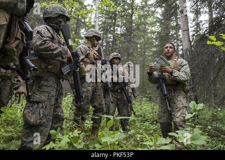 Us Marine Corps Sgt. James Ellis, rechts, 3 Truppführer, 3 Bataillon, 23 Marine Regiment, geht über die Mission Plan mit seinem Marines während in der 4. Marine Division Super Squad Wettbewerb im Joint Base Elmendorf-Richardson, Alaska, Aug 4, 2018 konkurrieren. Während des Wettbewerbs, Gruppen von 1. und 3 Bataillonen, 23 Marine Regiment und 1 Bataillon, 24 Marine Regiment, übte ihre technischen und taktischen Fertigkeiten durch konkurrierende in Veranstaltungen, offensive/defensive Operationen hervorgehoben, patrouillieren Techniken, die Bekämpfung der Treffsicherheit, körperliche Ausdauer und SMA Stockfoto