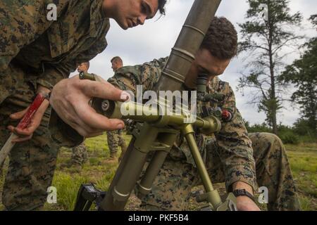 Lance Cpl. Alexander Banik, ein mortarman mit Lima Company, 3.Bataillon, 25 Marine Regiment einstellen M 224 60 mm Mörser während der Übung Northern Strike im Camp Äsche, Mich., Nov. 7, 2018. Northern Strike Mission ist es, den teilnehmenden Einheiten' über das gesamte Spektrum der Fähigkeiten durch realistische, kostengünstige gemeinsame Brände Ausbildung in eine anpassungsfähige Umgebung, mit einem Schwerpunkt auf gemeinsamen und Koalition zwingen, die Zusammenarbeit zu üben. Stockfoto