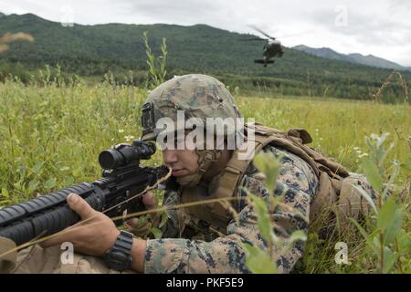 Us Marine Corps Lance Cpl. Ismael Garcia II., Charlie Company, 1.Bataillon, 23 Marine Regiment zugeordnet, hält Sicherheit als Alaska Army National Guard UH-60 Black Hawk Hubschrauber, mit dem 1. Bataillon, 207 Aviation Regiment, Ansätze der Landing Zone im 4. Marine Division Super Squad Wettbewerb im Joint Base Elmendorf-Richardson, Alaska, Aug 6, 2018 statt. Während der mehrtägigen Wettbewerb, Gruppen von 1. und 3 Bataillonen, 23 Marine Regiment und 1 Bataillon, 24 Marine Regiment, übte ihre technischen und taktischen Fertigkeiten von in Veranstaltungen, Hi konkurrierenden Stockfoto