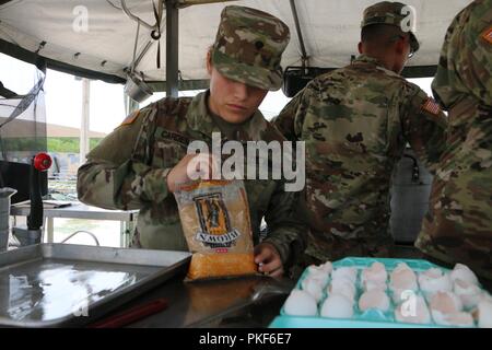 U.S. Army Reserve SPC. Abigail Cardenas, einem kulinarischen Fachmann mit der 370 Transport Unternehmen, sammelt Zutaten in der Vorbereitung für die USARC 51 Phillip A. Connelly Award Programmevaluierungen, am Lager Bullis, Texas, Aug 3, 2018. Die Phillip A. Connelly Award Programm wurde 1968 gegründet Exzellenz in der Armee Food Service zu erkennen. Das Programm wird gemeinsam von der National Restaurant Association und die Abteilung der Armee gesponsert. Stockfoto