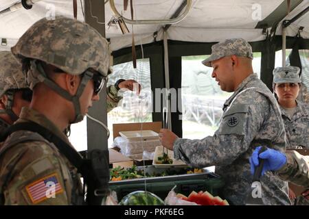 U.S. Army Reserve SPC. Jose Aguilar, einem kulinarischen Fachmann mit der 370 Transport Unternehmen, serviert Speisen zu Soldaten während des USARC 51 Phillip A. Connelly Award Programmevaluierungen, am Lager Bullis, Texas, Aug 3, 2018. Die Phillip A. Connelly Award Programm wurde 1968 gegründet Exzellenz in der Armee Food Service zu erkennen. Das Programm wird gemeinsam von der National Restaurant Association und die Abteilung der Armee gesponsert. Stockfoto