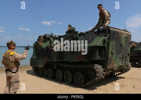 Marines der Firma A, 4 Assault Amphibian Battalion, 4th Marine Division, U.S. Marine Corps Kräfte finden, Norfolk, Virginia, für einen amphibischen Angriff auf See Margrethe in Camp Äsche, mich auf August 8, 2018 vorbereiten. Marines an Northern Strike, eine gemeinsame Multinationale kombinierte Waffen live Fire Training. Stockfoto