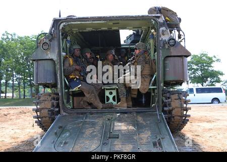 CAMP ÄSCHE, mich Marines der Firma A, 4 Assault Amphibian Battalion, 4th Marine Division, U.S. Marine Corps Kräfte finden, Norfolk, Virginia, für einen amphibischen Angriff auf See Margrethe in Camp Äsche, mich auf August 9, 2018 vorbereiten. Marines an Northern Strike, eine gemeinsame Multinationale kombinierte Waffen live Fire Training. Stockfoto