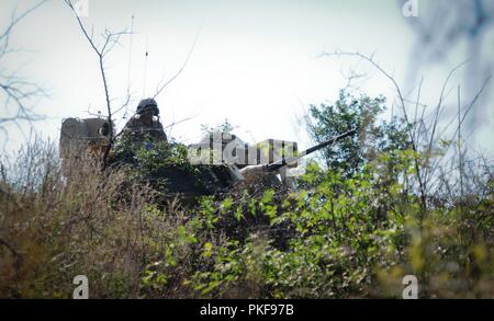 Us-Soldaten zugeordnet zu Alpha Company, 2nd Battalion, 5th Cavalry Regiment, 1st Armored Brigade Combat Team, 1.Kavallerie Division in der Ausübung der Platinum Lion Medien Tag am Novo Selo Training Strecke in Bulgarien, 8. August 2018 teilnehmen. Zahlreiche Umläufe wurden an Ziele mit M2A3 Bradley Kampffahrzeugen und Kleinwaffen Brände in Unterstützung der Atlantischen lösen, ein bleibendes Training übung zwischen der NATO und der US-Streitkräfte abgefeuert. Stockfoto