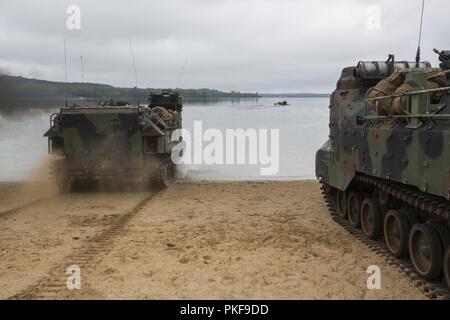 Amphibisches Fahrzeuge von Alpha Company, 4 Assault Amphibious Bataillon, transport Marines während der Übung Northern Strike im Camp Äsche, Mich., Nov. 8, 2018. Camp Äsche, der größten nationalen Schutz Zentrum im Land auf 147.000 Hektar, bietet viele große Artillerie, Mörser, Tank reicht und Manöver Kurse. Stockfoto