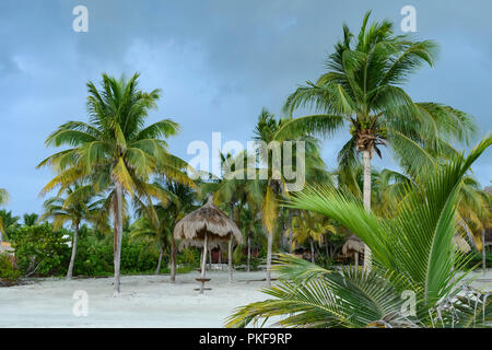 Palmen auf weißem Sand mit Palapas in Mexiko Stockfoto