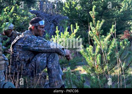 CAMP ÄSCHE, Mich-A Lettland infanterist von Combat Support Unternehmen, 3. Brigade, der Lettischen Nationalen Streitkräften, ruht in den Wald nach einer fünftägigen live fire Iteration während der Nördlichen Streik 2018 im Camp Äsche, Mich., Nov. 9, 2018. In den USA und lettische Soldaten im nördlichen Streik Übung teilgenommen haben, eine gemeinsame, multinationalen, kombinierte Waffen live fire Übung veranstaltet von der Michigan National Guard. Stockfoto