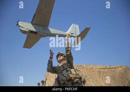 Us Marine Corps 1. Lt. Christopher Banken, die Executive Officer für Hotel Batterie, 3. Niedrige Höhe Air Defence Battalion, 3. Marine Flugzeugflügel, setzt eine RQ-20 Puma eine kleine, unbemannte Flugzeuge System im Sommer FIREX 2018 Marine Corps Base Camp Pendleton, Calif., Aug 8, 2018. Die Übung erweitert die 11 Marine Regiment Fähigkeit zu planen, zu koordinieren und zu direkten letalen Fire Support liefern, gegen Brände und regimental Befehl und Kontrolle. Stockfoto