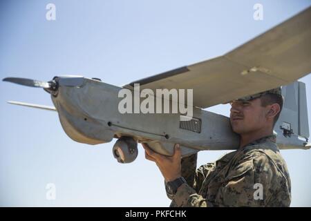 Us Marine Corps Lance Cpl. Austin Mitchell, eine Intelligenz Spezialist mit 1 Bataillon, 11 Marine Regiment, 1st Marine Division, führt eine Operationen auf einem RQ-20 Puma eine kleine, unbemannte Flugzeuge System im Sommer FIREX 2018 Marine Corps Base Camp Pendleton, Calif., Aug 8, 2018 prüfen. Die Übung wurde durchgeführt, aufrecht zu erhalten und die 11 Marine Regiment Fähigkeit zu planen, zu koordinieren und zu lebensgefährlichen Fire Support liefern, gegen Brände und Regimental das Kommando und die Kontrolle zu verbessern. Stockfoto