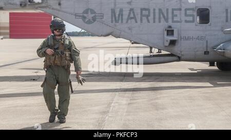 Us Marine Gunnery Sgt. Steven A. Vanarsdale, eine Crew Chief mit Marine schweren Helikopter Squadron (HMH) 461 bereitet sich für eine Live Feuer Bereich Flug während Raven 18-06 an der Bekämpfung der Readiness Training Center, Gulfport, Fräulein, 9. August 2018. Raven ist eine realistische militärische Übung, in denen HMH-461 bietet Unterstützung aus der Luft zu Marine Corps Forces Special Operations Command. Diese Übung erlaubt das geschwader Core und Mission skill Training bekämpfen die Bereitschaft der Squadron innerhalb der Marine Air-Ground Task Force zu verbessern. Die CH-53E Super Hengste und die Crew sind zu HMH-461 zugewiesen, Stockfoto