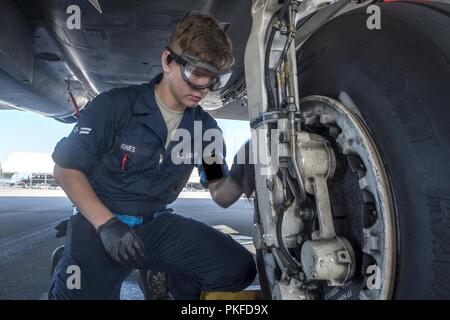 Airman 1st Class Curtis Jones, 334 Flugzeuge Wartungseinheit reinigt die Reifen einer F-15E Strike Eagle Aug 1, 2018, bei Seymour Johnson Air Force Base, North Carolina. Jones ist einer von mehr als 10 Flieger, die derzeit von einer lokalen Familie als Teil der Seymour Johnson Air Force Base Airman Sponsoring Programm, das entworfen ist, um die Flieger mit einer Allee zu stellen neue Freundschaften in der lokalen Gemeinschaft zu bilden und zu unterstützen, die über die formalen Arbeitsumgebung sammeln gefördert. Stockfoto