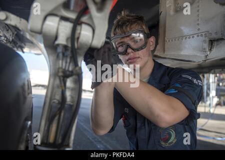 Airman 1st Class Curtis Jones, 334 Flugzeuge Wartungseinheit reinigt die Reifen einer F-15E Strike Eagle Aug 1, 2018, bei Seymour Johnson Air Force Base, North Carolina. Jones ist einer von mehr als 10 Flieger, die derzeit von einer lokalen Familie als Teil der Seymour Johnson Air Force Base Airman Sponsoring Programm, das entworfen ist, um die Flieger mit einer Allee zu stellen neue Freundschaften in der lokalen Gemeinschaft zu bilden und zu unterstützen, die über die formalen Arbeitsumgebung sammeln gefördert. Stockfoto