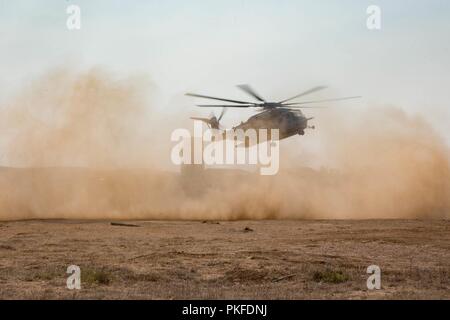 Ein CH-53E Super Stallion mit Marine schweren Helikopter Squadron (HMH) 465, Marine Flugzeuge Gruppe 16, 3. Marine Flugzeugflügel, landet bei Marine Corps Base Camp Pendleton, Calif., Aug 10. HMH-465 führt das Training mit Amphibischen Raids Zweig, Expeditionary Operations Training Gruppe, ich Marine Expeditionary Force, Infanterie Marines schnell durchführen - Seil von einem Hubschrauber. Stockfoto