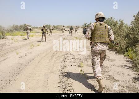 Irakische Soldaten, mit 2Nd Battalion, 59th Brigade, führen Sie eine Patrouille während einer bestätigenden Ausbildungstätigkeit an Camp Taji, Irak, 30. Juli 2018. Durch beschleunigte Erfolge gegen ISIS im Jahr 2017 aktiviert, Koalition Unterstützung für unsere Partner entwickelt, wie wir unsere Partner bei der Bereitstellung von Sicherheit, die Stabilisierung unterstützen. Stockfoto