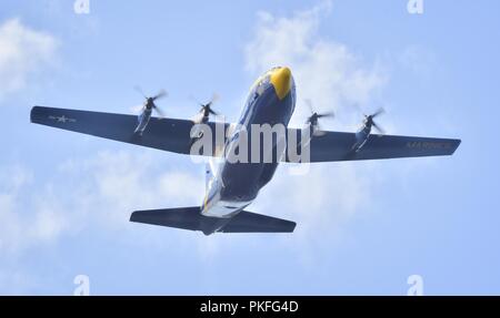 U.S. Navy Flight Demonstration Squadron, die Blue Angels, C-130 Transportflugzeuge, liebevoll bekannt als Fat Albert, fliegen über den Lake Washington während Seafair Festival 2018. Der Blaue Engel sind geplant mehr als 60 Demonstrationen an mehr als 30 Standorten in den USA und Kanada im Jahr 2018 durchzuführen. Stockfoto