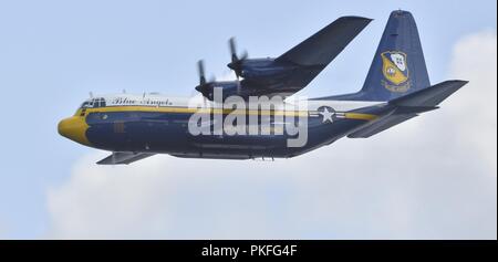 U.S. Navy Flight Demonstration Squadron, die Blue Angels, C-130 Transportflugzeuge, liebevoll genannt "Fat Albert", führt der flachen Pass über den Lake Washington während Seafair Festival 2018. Der Blaue Engel sind geplant mehr als 60 Demonstrationen an mehr als 30 Standorten in den USA und Kanada im Jahr 2018 durchzuführen. Stockfoto