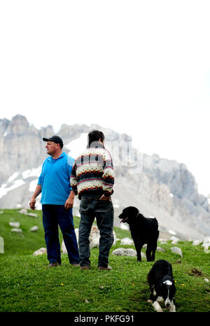 Hirten und Schäferhunde auf dem Col du Galibier Mountain Pass in Valloire, im Département Savoie (Frankreich, 14.06.2010) Stockfoto