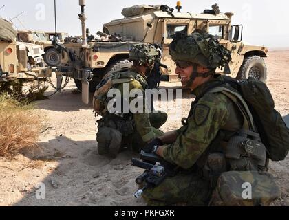 Die Mitglieder des litauischen Landstreitkräfte melden Sie Soldaten der 28.Infanterie Division, Pennsylvania National Guard für die Rotation der Ausbildung an der National Training Center in Fort Irwin, Kalifornien, Aug 7, 2018. Der Pennsylvania National Guard und der Litauischen Streitkräfte feierte vor kurzem 25 Jahre erfolgreiche Partnerschaft durch den Staat. Einheiten Abschluss der Schulung rotation realistischen Bedingungen und entsprechenden entscheidende Maßnahmen Szenarien auf unversöhnliche Gelände konfrontiert. Stockfoto