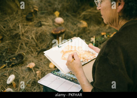 Pilz Pilze Wissenschaft Kunst Gemälde Wissenschaftliche Namen Stockfoto