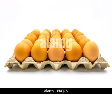 Eier in Papierfach auf weißem Hintergrund. Stockfoto
