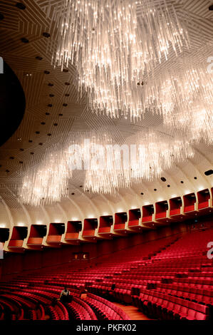 Die Teatro Regio 'Royal Theatre" prominent Opera House und Opera Company in Turin (Italien, 15/06/2010) Stockfoto