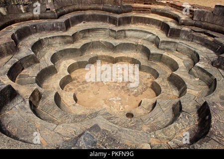 Der Lotus Teich um Polonnaruwa antike Stadt. In Sri Lanka, August 2018. Stockfoto