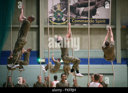 Marine Commandos klettern Seile als Herzog von Sussex Besuche der Royal Marines Commando Training Center in Lympstone, Devon. Stockfoto