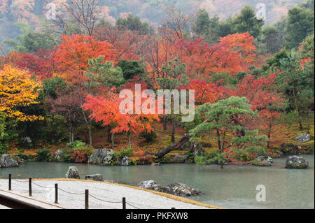 Herbst Farbe in Kyoto, Japan. Tenryu-ji Zen Tempel, Gärten, um 1345 erbaut. Der Teich Garten an einem regnerischen Tag im Herbst Stockfoto