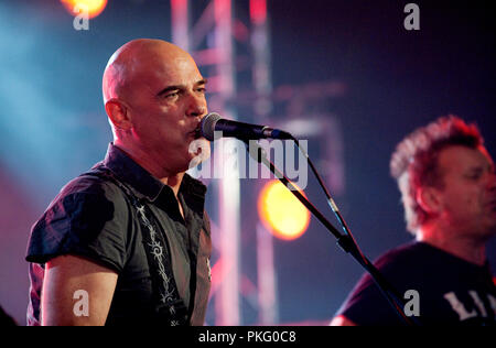 Belgische Punk Band die Kinder am Radio 1 Sessies (Belgien, 12/10/2010) Stockfoto