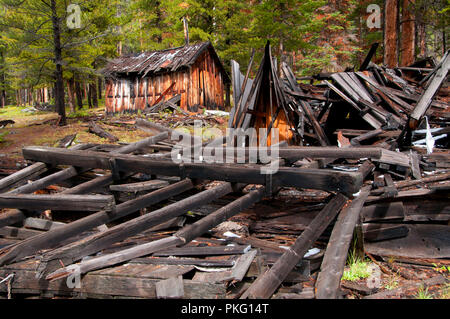 Coolidge Ghost Town, Beaverhead Deerlodge National Forest, Montana Stockfoto