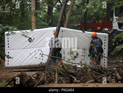 13. September 2018, Nordrhein-Westfalen, Kerpen: Bullen sind ein Sprungkissen zur. Die Polizei sicher der Beginn einer Evakuierung des Hambacher Wald. Foto: Oliver Berg/dpa Stockfoto